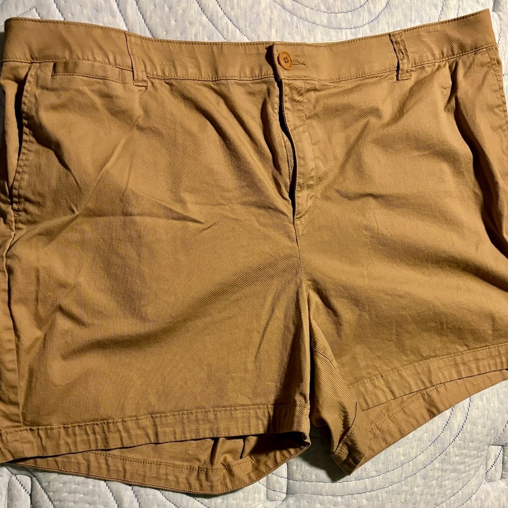 NWOT LAne Bryant tan shorts
